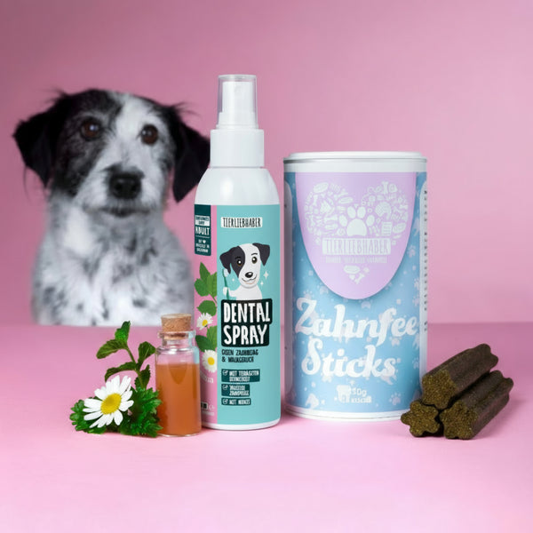 Zahnpflege Bundle