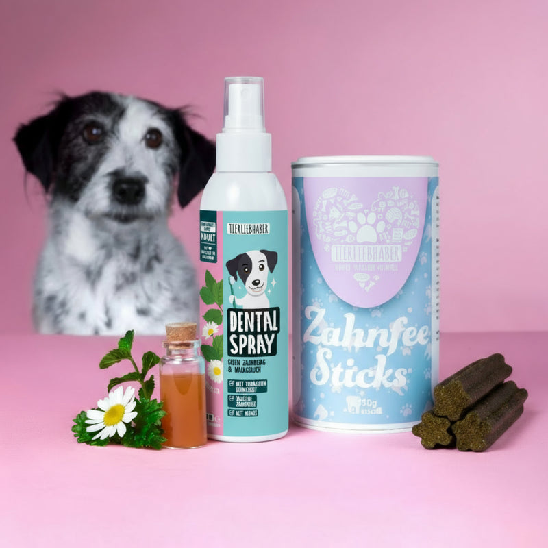 Zahnpflege Bundle