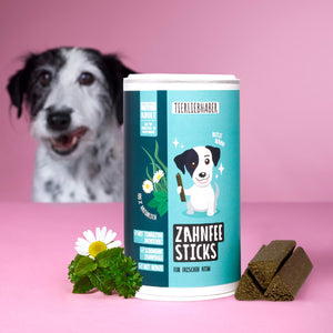 Zahnfee Sticks