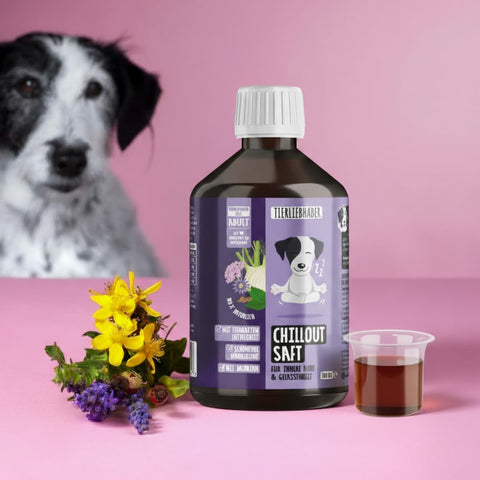 Chillout Saft für Hunde