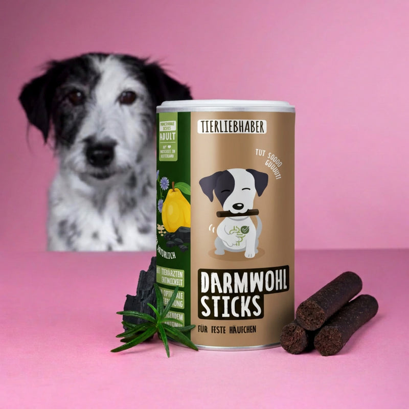 Darmwohl Sticks