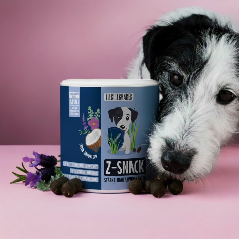 Z-Snack