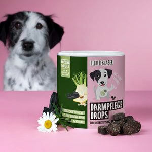 Darmpflege Drops