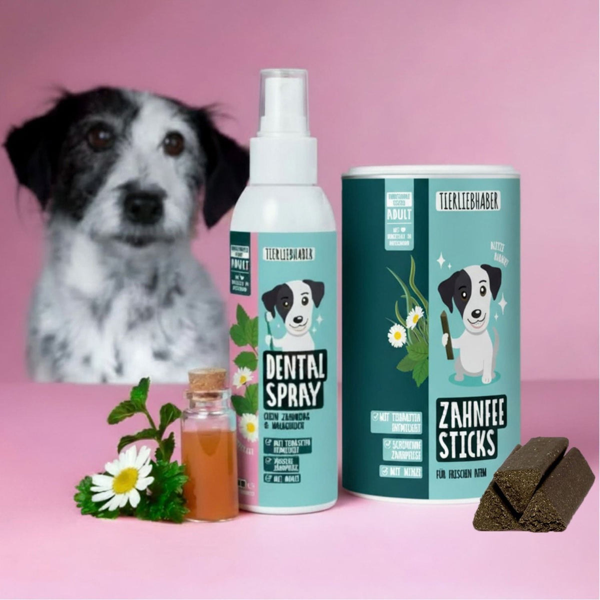 Zahnpflege Bundle