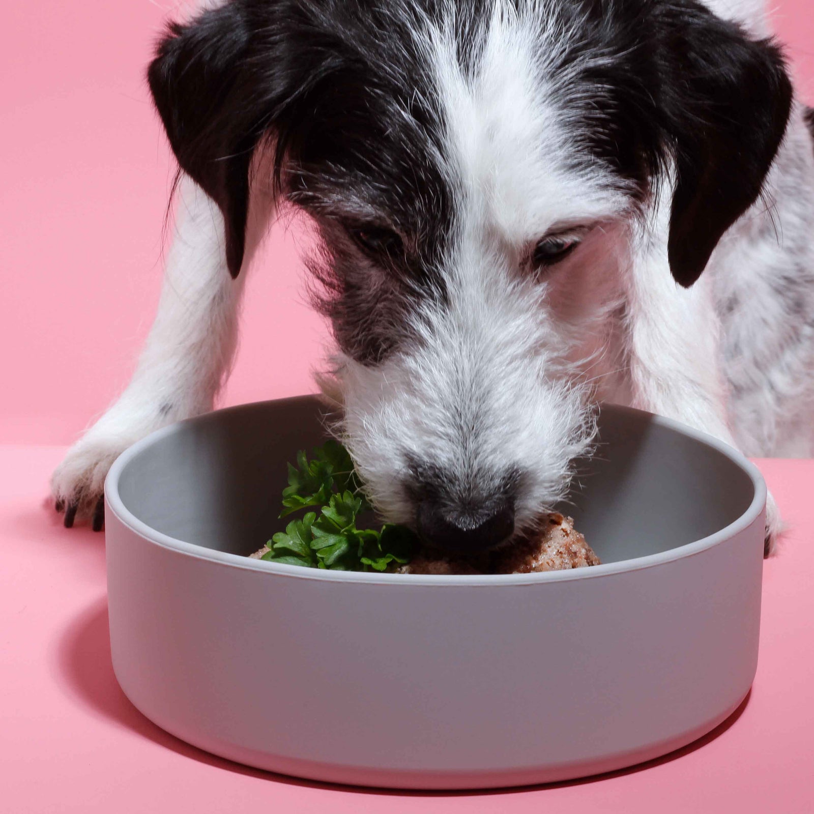 Nassfutter Ziege mit Pastinake 400g  Tierliebhaber