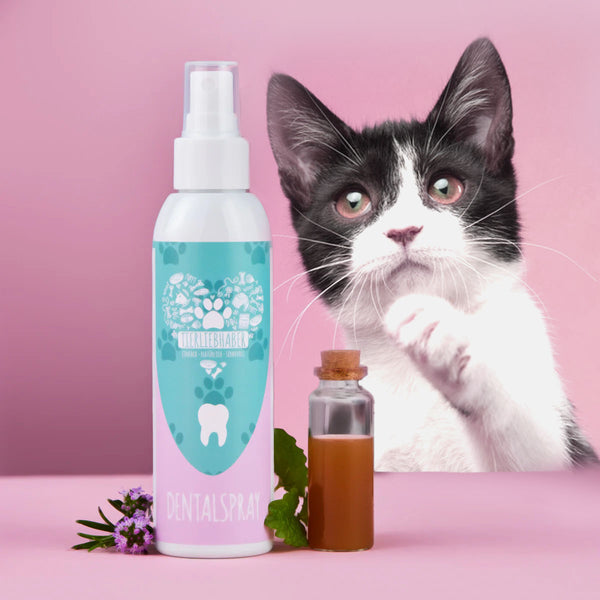 Dentalspray (Katzen)