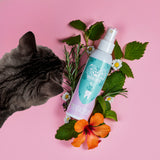 Dentalspray (Katzen)