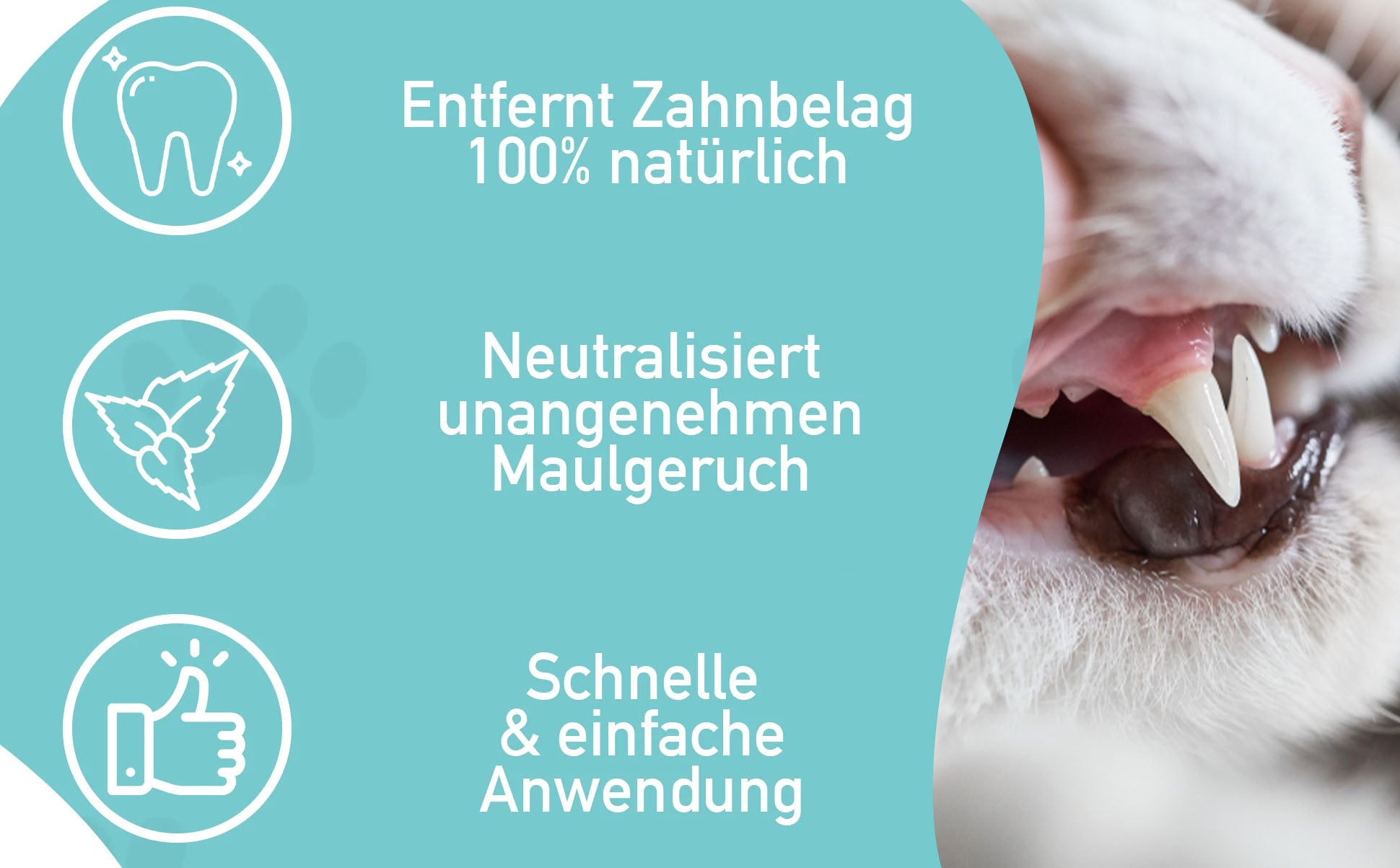 So einfach sorgt das Dentalspray für gesunde Zähne: