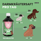 Darmkräuter Saft