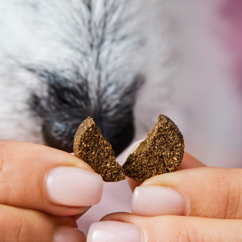 Gras- & Kotfresser Drops 6er Bundle