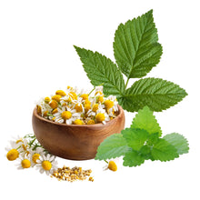 Kamille & Melisse & Himbeerblätter