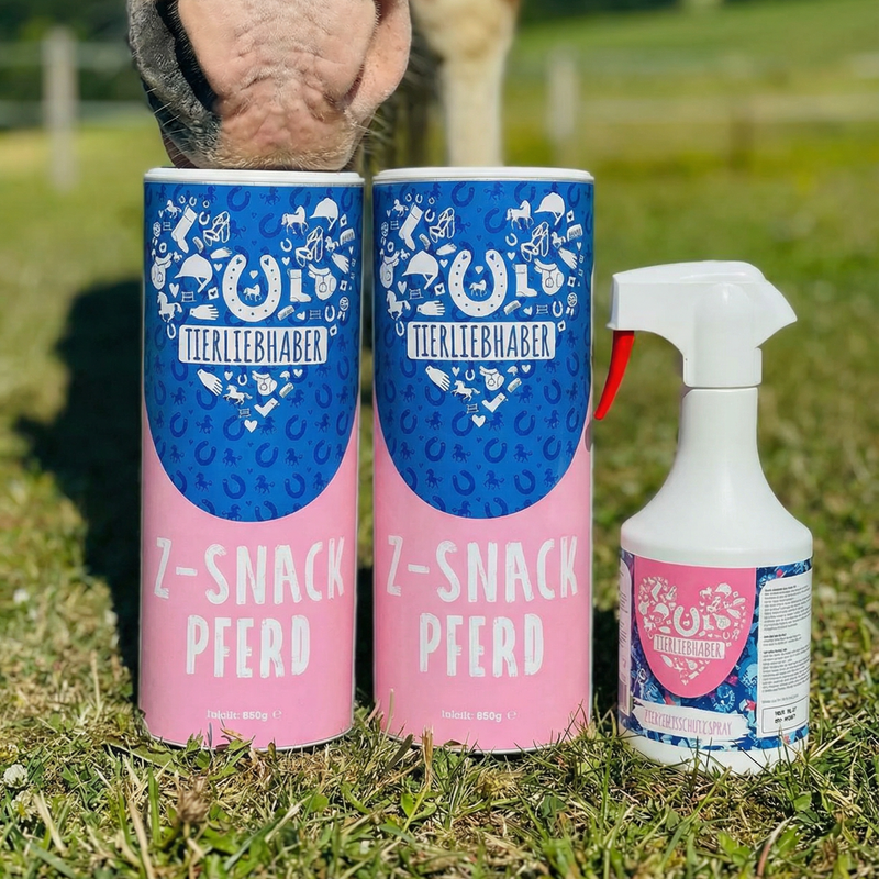 XXL Schutz Paket Pferd