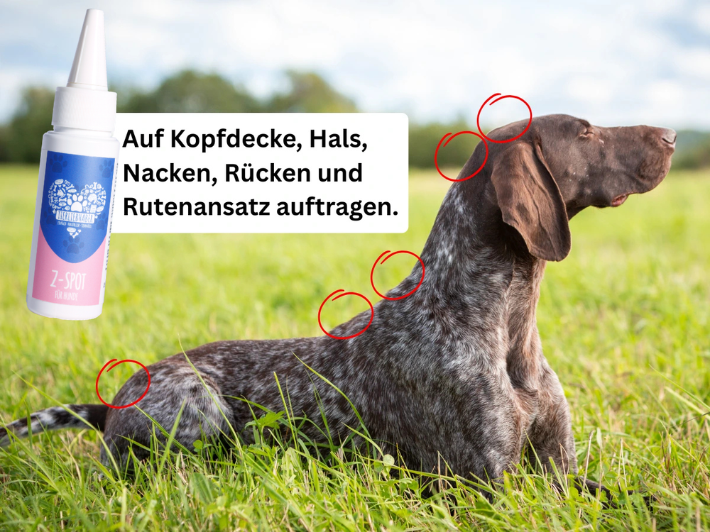 10 Sekunden Routine