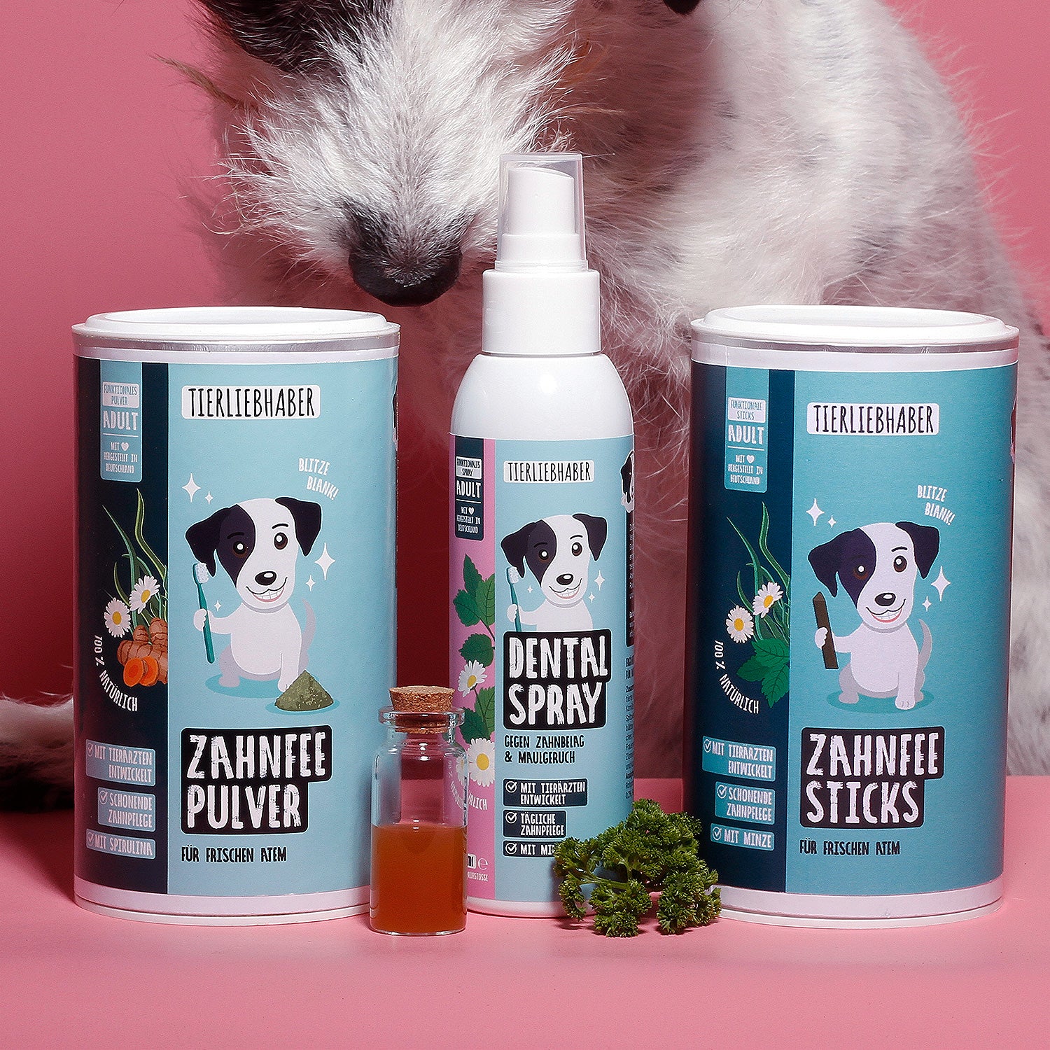 Zahnfee Bundle XL