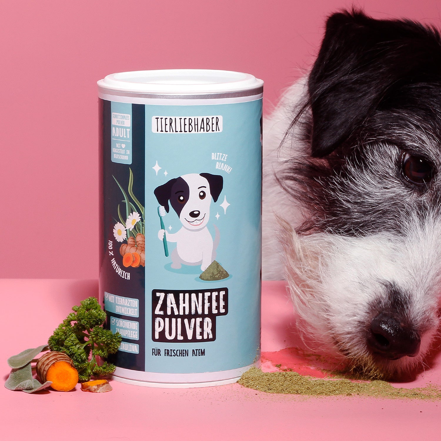 Zahnfee Pulver