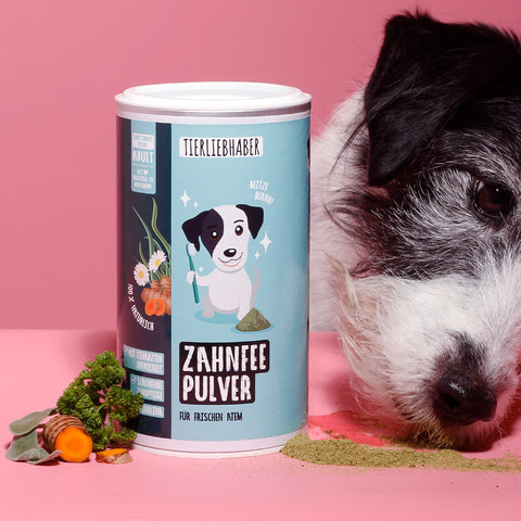 Zahnfee Pulver