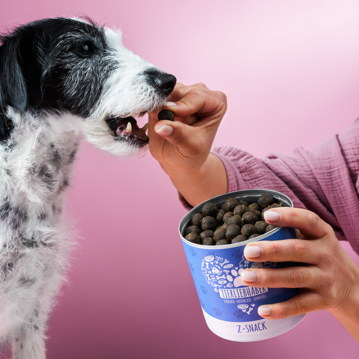 Unique dog food new arrivals