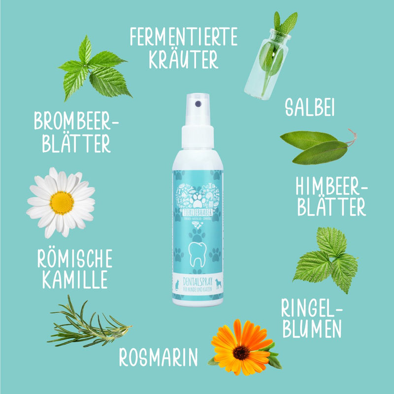 Zahnpflege Bundle