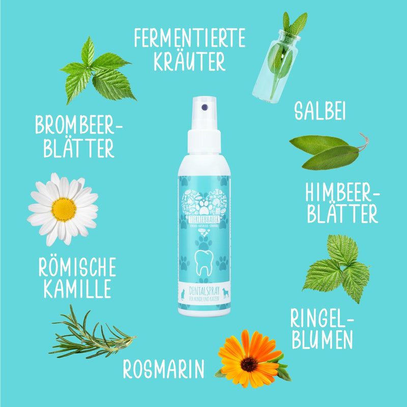 Dentalspray Abo