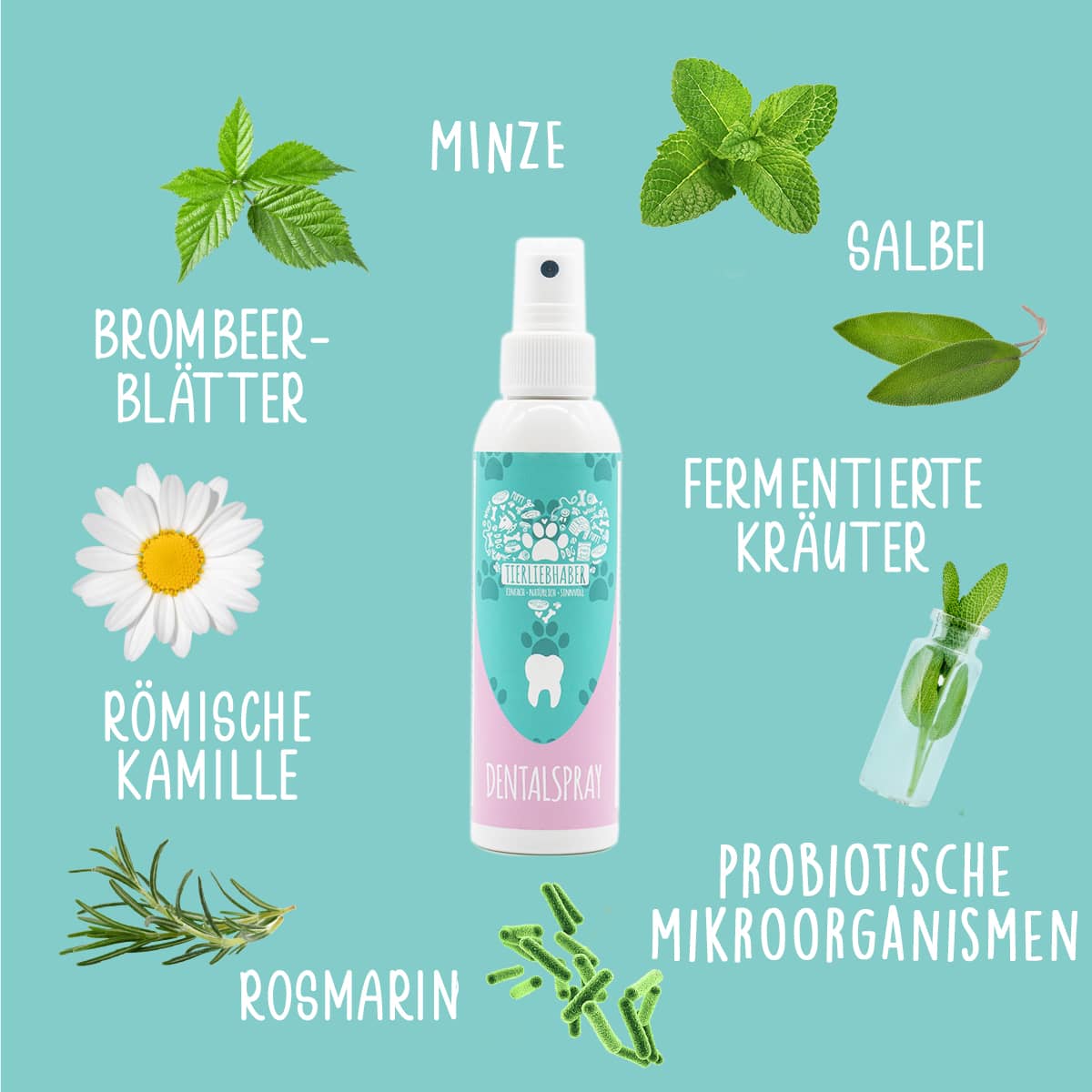 Dentalspray