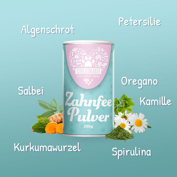 Zahnfee Pulver im Angebot