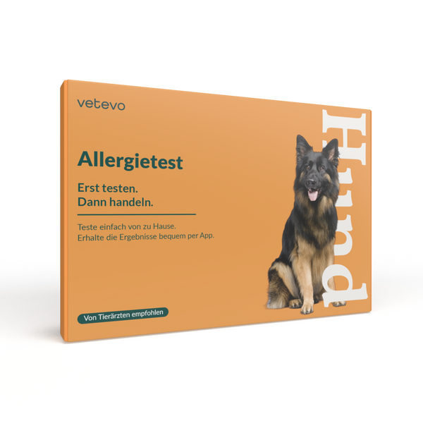 Allergietest Hund Plus