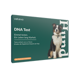 DNA Test Rassebestimmung Hund