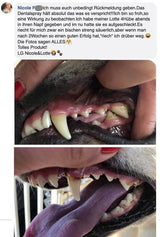 Zahnpflege Bundle