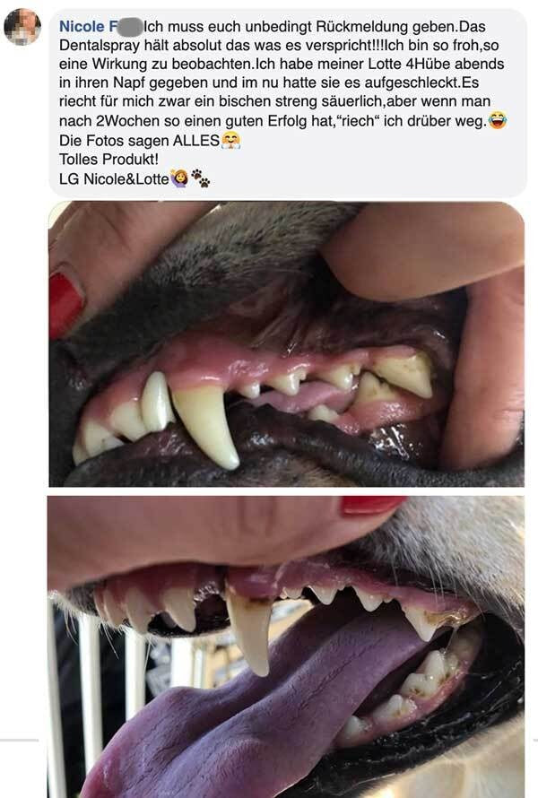 Dentalspray “Spende Tierliebe”